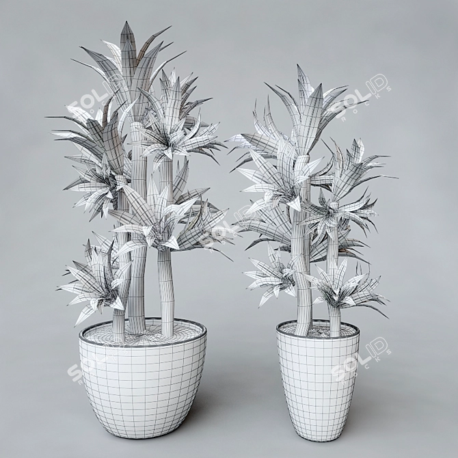 Dracaena Potted Plant 3D model image 2