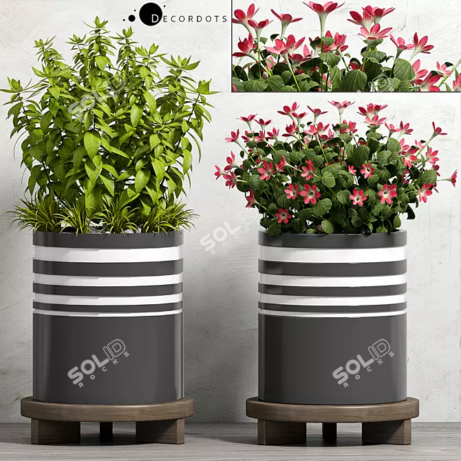 Modern Planter Set - Max Compatibility 3D model image 1