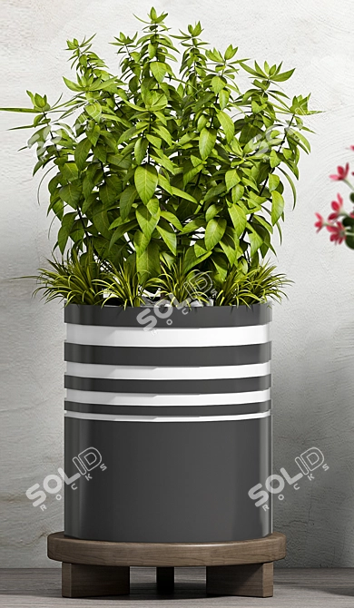 Modern Planter Set - Max Compatibility 3D model image 2