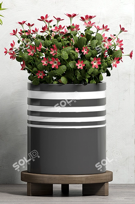 Modern Planter Set - Max Compatibility 3D model image 3