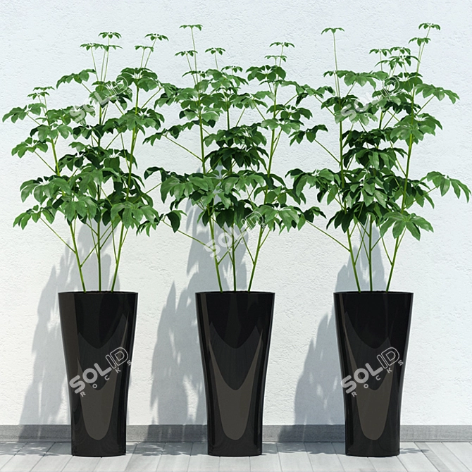 Minimalist Planters for Modern Spaces 3D model image 1