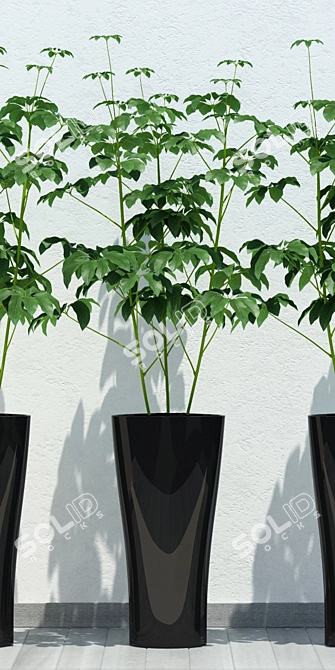 Minimalist Planters for Modern Spaces 3D model image 2