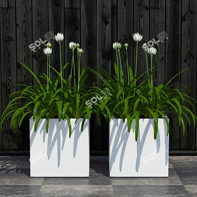 Indoor Plants Collection 3D model image 1