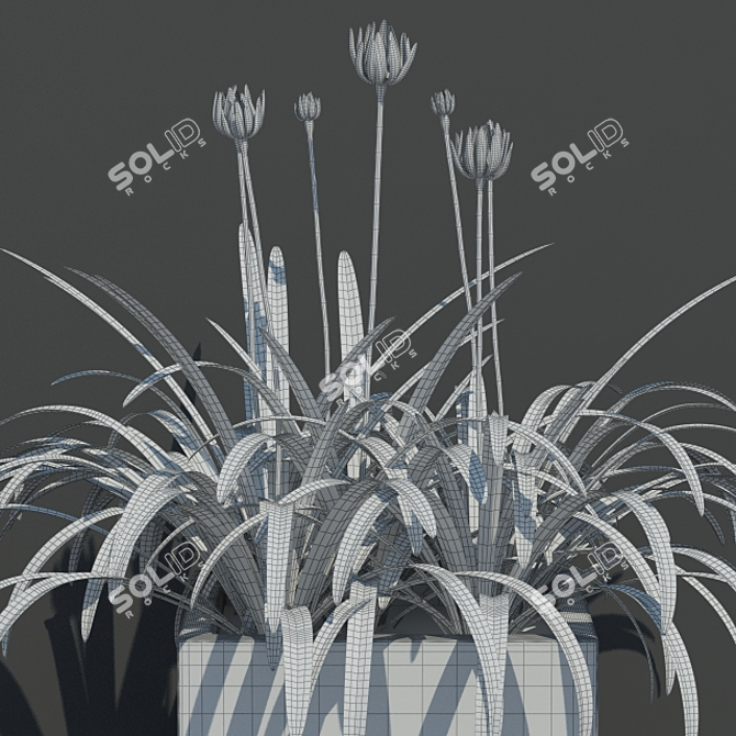 Indoor Plants Collection 3D model image 2