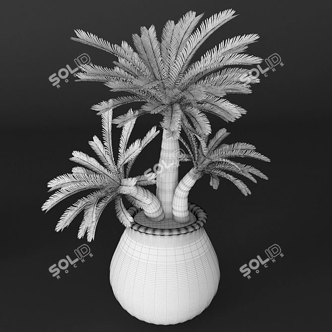 Tropical Charm: Cycas Palm Set 3D model image 3