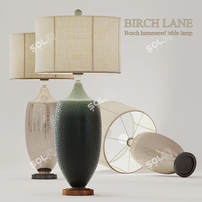 Bosch Hammered Accent Table Lamp 3D model image 1