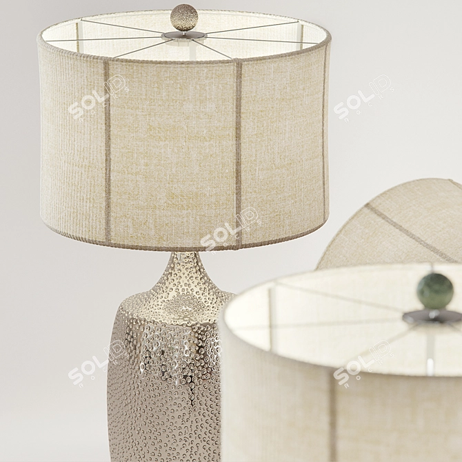 Bosch Hammered Accent Table Lamp 3D model image 2