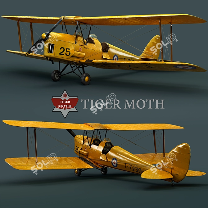 Vintage Tiger Moth Biplane: Classic 1930s Training Aircraft 3D model image 1