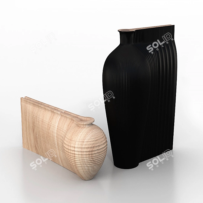 Sculptural Water Carafe 3D model image 1