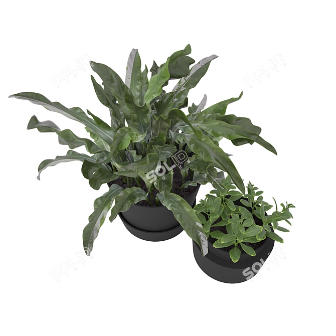 Botanical Beauties: Lush Plants Collection 3D model image 2