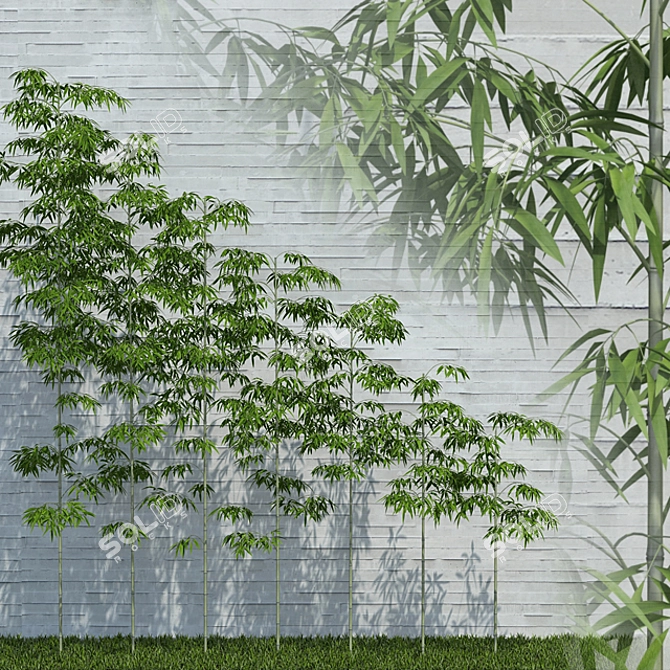 Versatile Bamboo Scatter for Stunning Natural Decor 3D model image 1