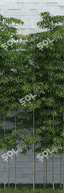 Versatile Bamboo Scatter for Stunning Natural Decor 3D model image 2