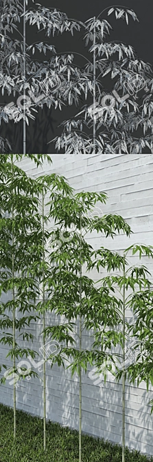 Versatile Bamboo Scatter for Stunning Natural Decor 3D model image 3