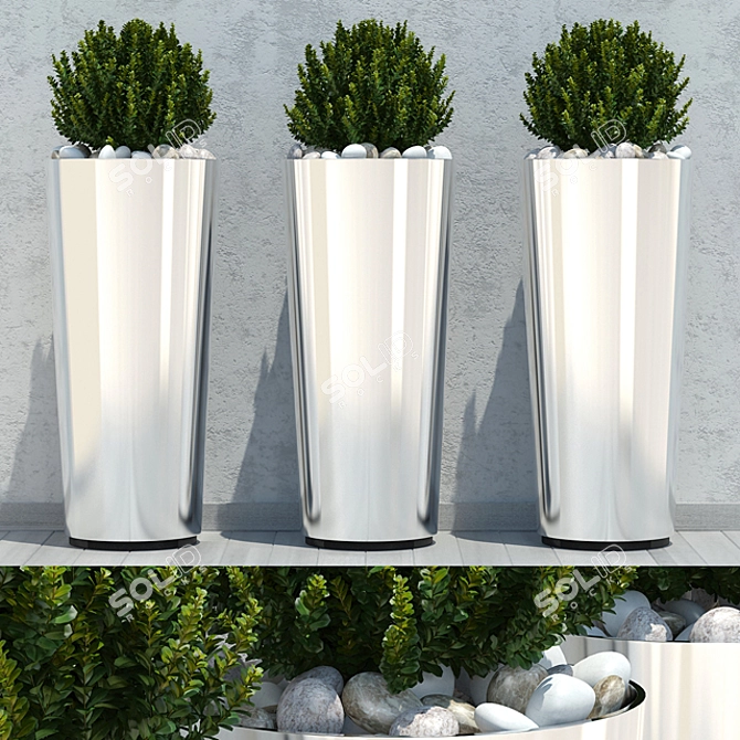 3D Ball Plant Model - High Poly 3D model image 1