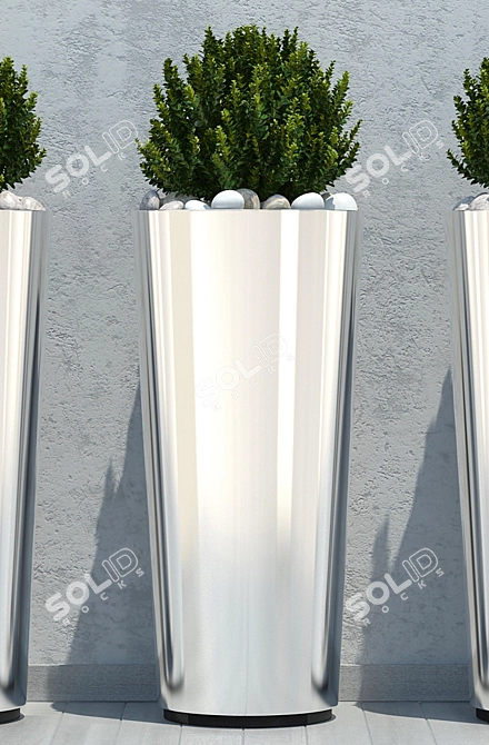 3D Ball Plant Model - High Poly 3D model image 2