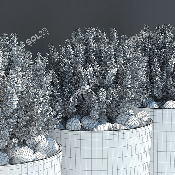 3D Ball Plant Model - High Poly 3D model image 3