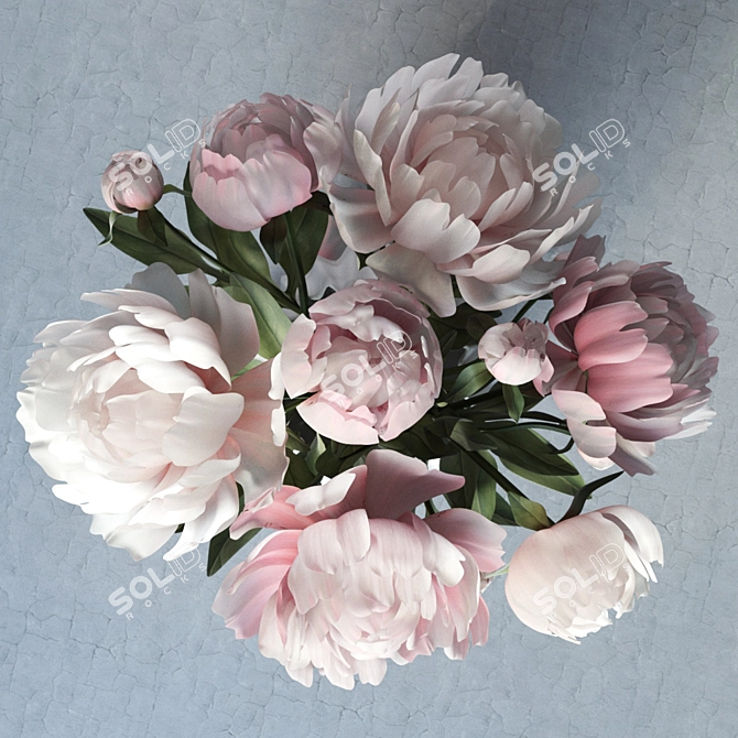 Elegant Peonies in a Vase 3D model image 2