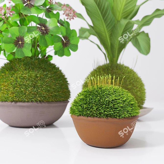 Zen Garden Kokedama Set 3D model image 2