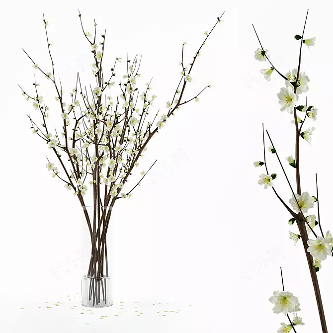 Elegant Branches Vase 3D model image 1