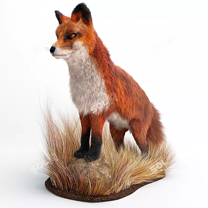 Foxy Fur: Hair and Fur Modifier for Stunning 3D Renders 3D model image 1