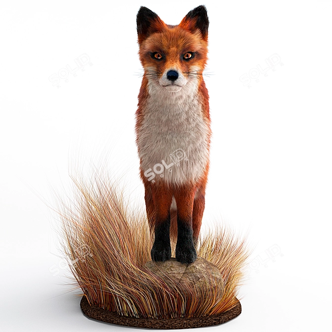 Foxy Fur: Hair and Fur Modifier for Stunning 3D Renders 3D model image 2