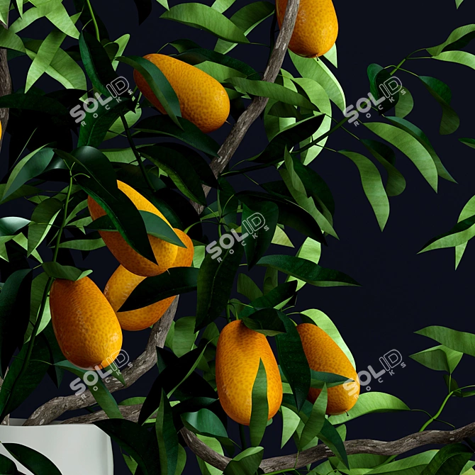 Realistic Kumquat and Plum Ceramic Decor 3D model image 2