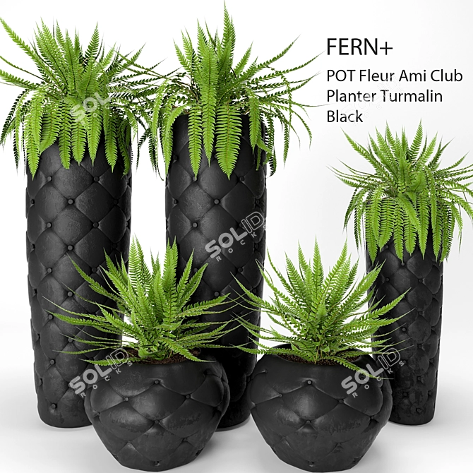 Elegant Turmalin Black Club Planter 3D model image 1