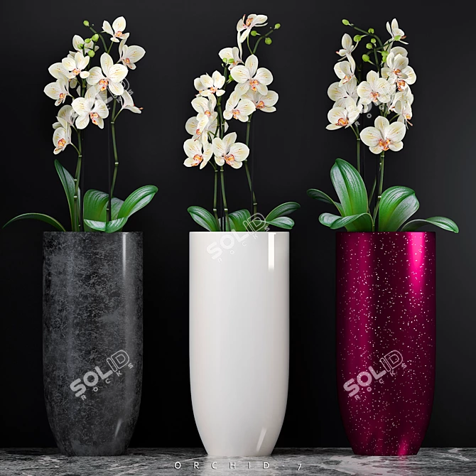 Luxurious Orchid7: the Ultimate Floral Masterpiece 3D model image 1