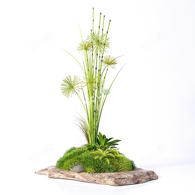 Natural Stone Decor with Moss and Meadow Plants 3D model image 1