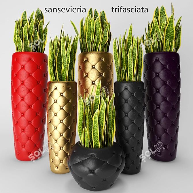 Sleek Snake Plant: Sansevieria trifasciata 3D model image 1