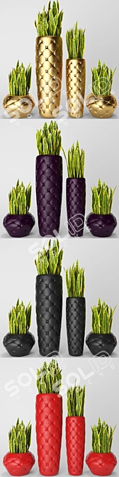 Sleek Snake Plant: Sansevieria trifasciata 3D model image 2