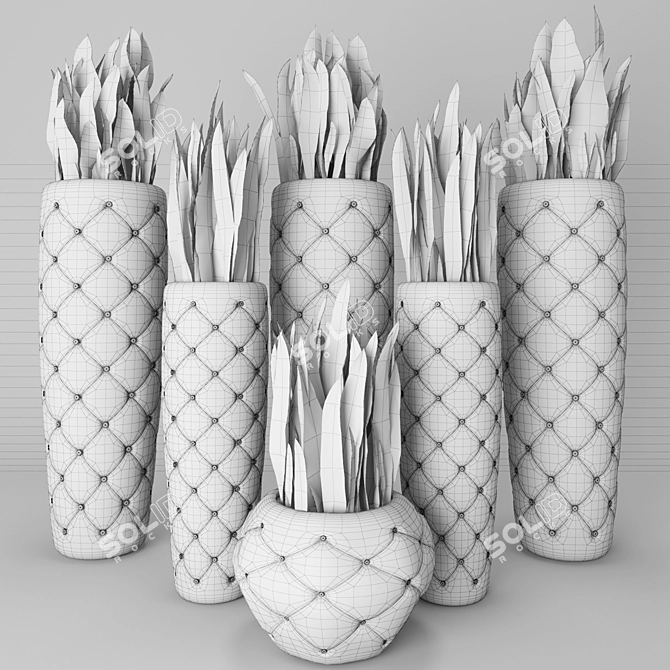 Sleek Snake Plant: Sansevieria trifasciata 3D model image 3