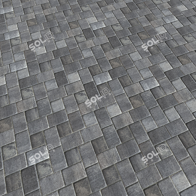 High Resolution Cobblestone Pavers 3D model image 2