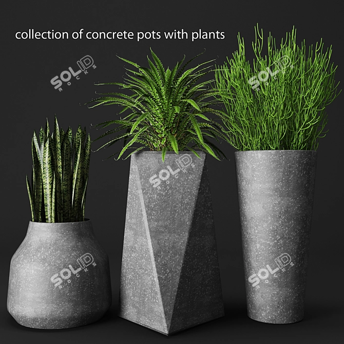 Urban Oasis: Concrete Pot Set with Plants 3D model image 1