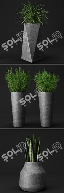 Urban Oasis: Concrete Pot Set with Plants 3D model image 2