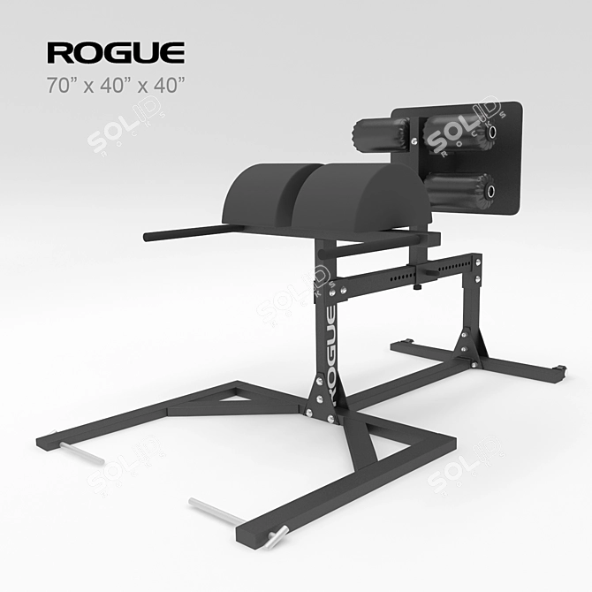 Rogue GH-1 Hyperextension Trainer 3D model image 1