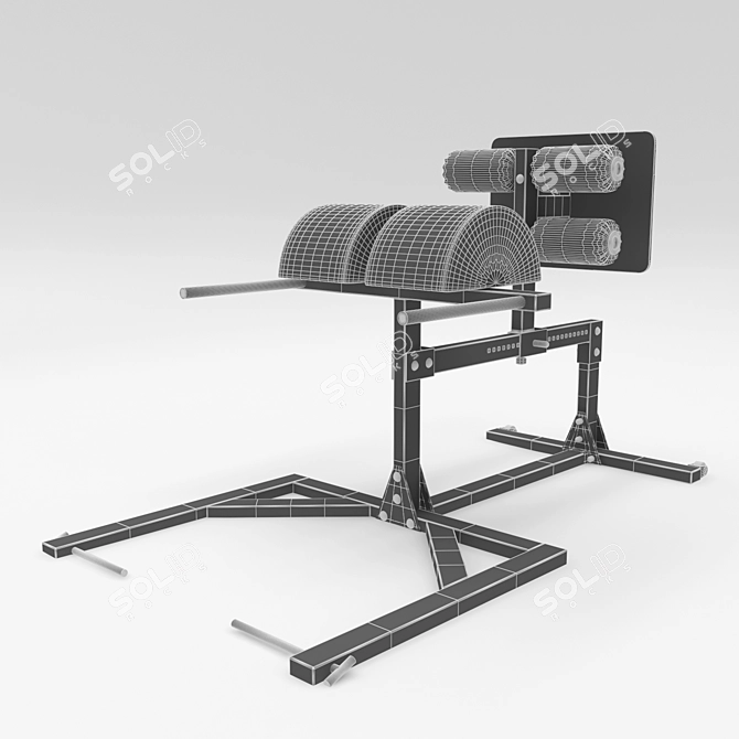 Rogue GH-1 Hyperextension Trainer 3D model image 3