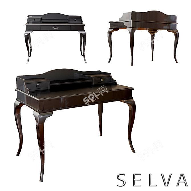 Stylish Selva Desk Art 3D model image 1