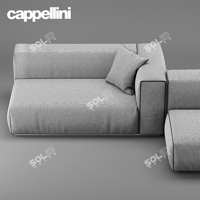 Contemporary Cappellini Oblong Sofa 3D model image 2