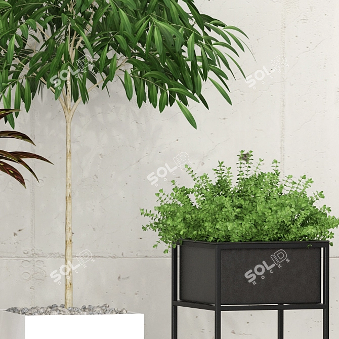 10 Indoor Plants Collection 3D model image 3