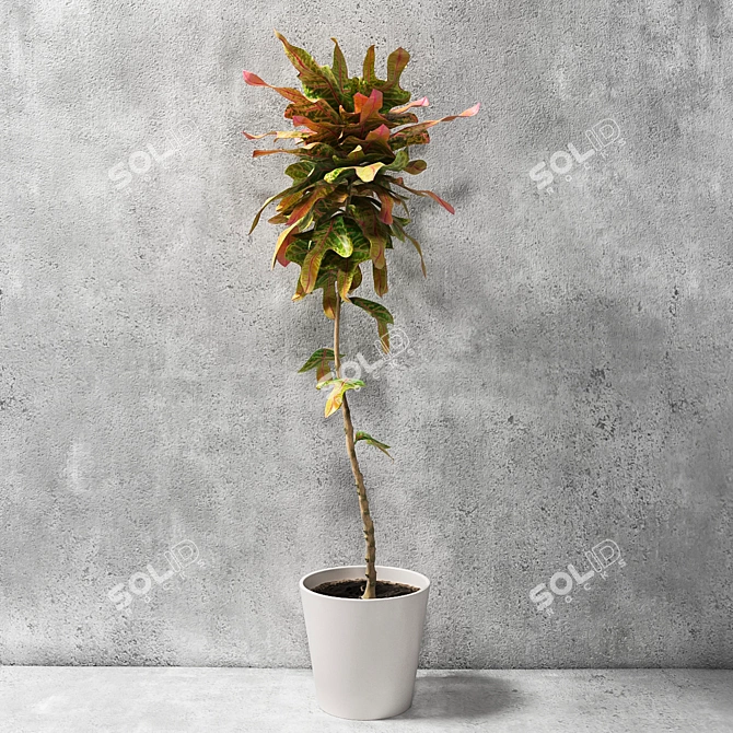 Lush and Vibrant Croton Plant 3D model image 1