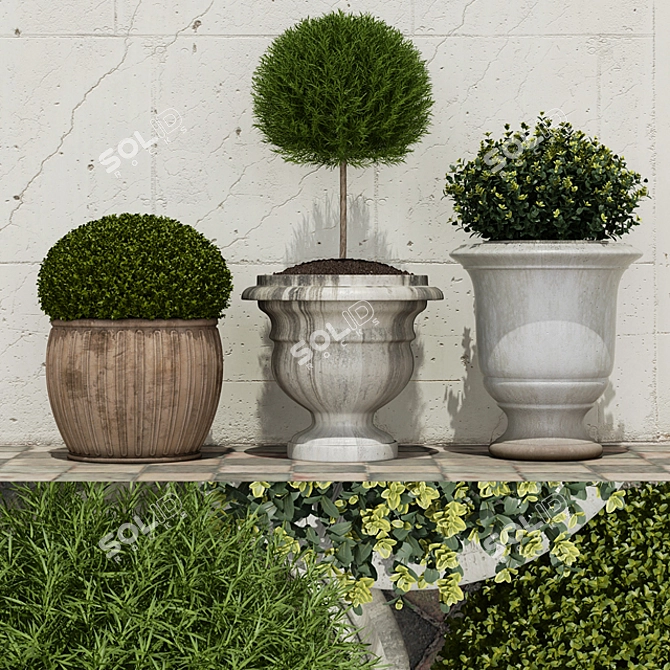 Lush Potted Bushes: Blooming Beauty! 3D model image 1