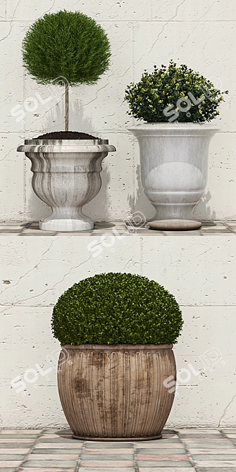 Lush Potted Bushes: Blooming Beauty! 3D model image 2