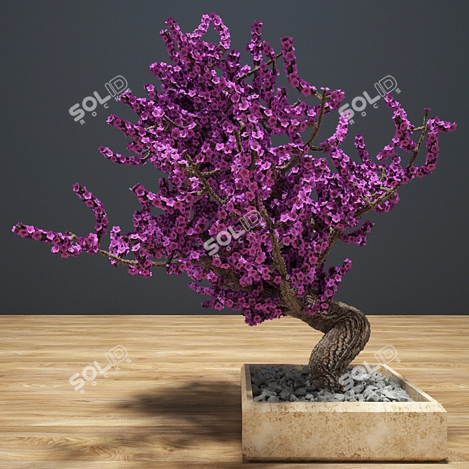 Botanical Bliss: Bonsai Delight 3D model image 1