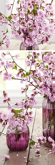Cherry Blossom Delight 3D model image 3