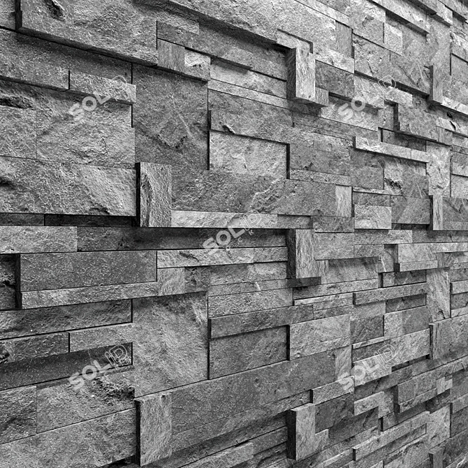 Slate Panel: Versatile 3D Max Texture 3D model image 2