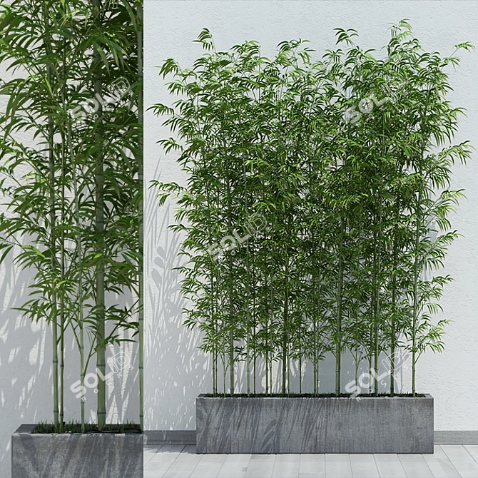 Eco-Friendly Bamboo 2: Lightweight and Versatile 3D model image 1