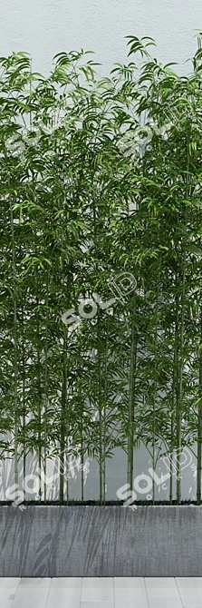 Eco-Friendly Bamboo 2: Lightweight and Versatile 3D model image 2