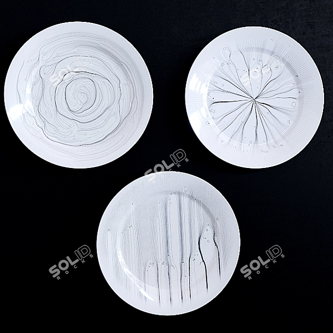 Elegant Home Decor Plates 3D model image 3