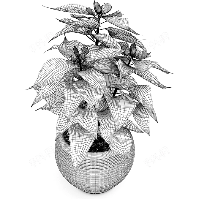 Festive Poinsettia - Christmas Blooms 3D model image 2